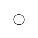 O-ring CNH 