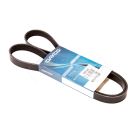 Pasek wielorowkowy 30/144-719  6pk 1356 DAYCO