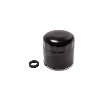 Filtr paliwa.60/111-39  FF-5040 , PD41 Bepco