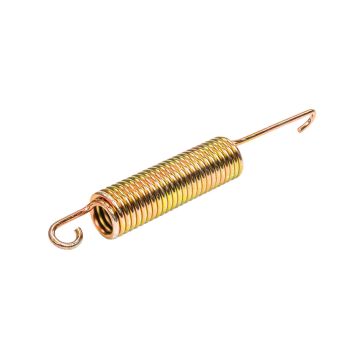 SPRĘŻYNA SEKCJI WYSIEWAJĄCEJ 819885 ORYGINAŁ