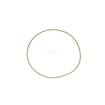  Oring 25/416-31