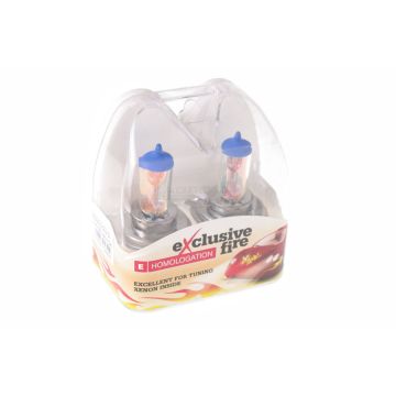 Zestaw żarówek H4 12V 60/55W BOSMA P43t 8429