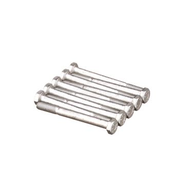 Wkręt M10 1,25x100 mm