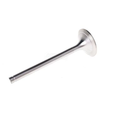 Zawór ssący 120 PARADOWSKI