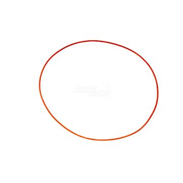Oring 29/416-46