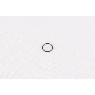 O-ring CNH
