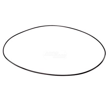 Pierścień oring 304,39x3,53