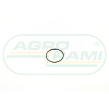 Pierścień gumowy CNH 