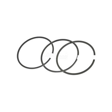 Kpl.pierścieni.2x2x3 FL1011/F,21/34-831?