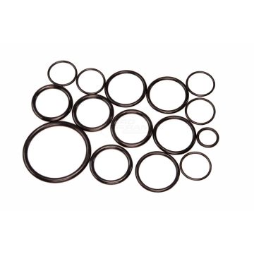 Zestaw uszczelek P-120 Biardzki