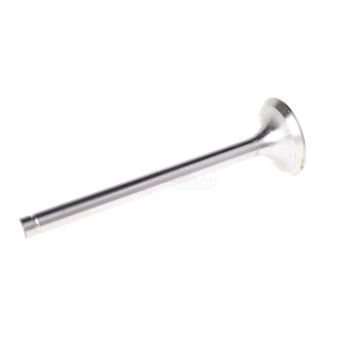 Zawór wydechowy PARADOWSKI