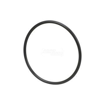 O-ring