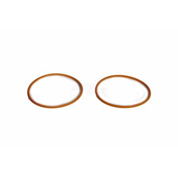 O-ring