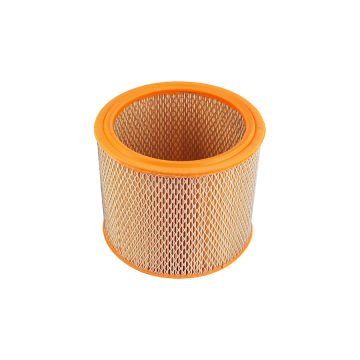 Wkład Filtra Powietrza Bizon Wa20600 Sędziszów