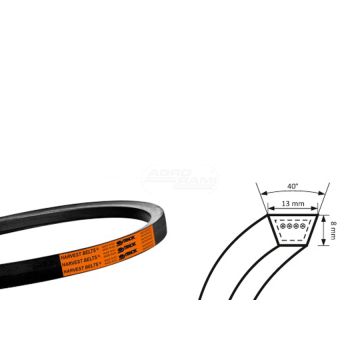 Pasek HARVEST CL-6613450