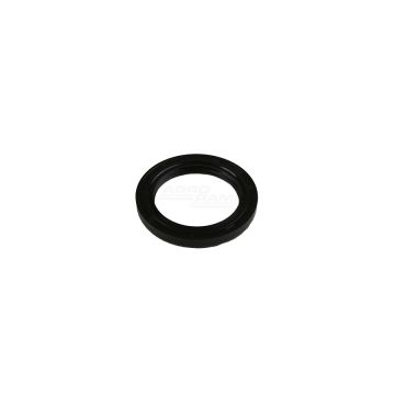 Pierścień 1.9.1666