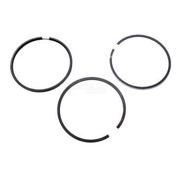 KPL.PIERŚCIENI SILNIKA FI-95