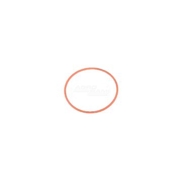 O-ring CNH
