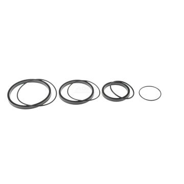 Kpl.uszczelek siłownika D-47