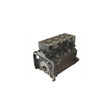 Blok silnika 30/6001-19 A4.248 fi-101.05 mm