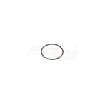 Pierścień uszczelniający CNH