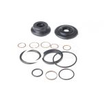 Komplet uszczelek siłownika