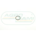 Pierścień gumowy CNH 