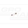 Żarówka 12V 5W C5W Pure Light