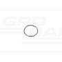 O-ring CNH