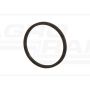 O-ring CNH