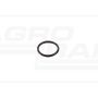 O-ring CNH