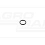 O-ring CNH