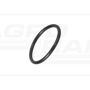 O-ring CNH 