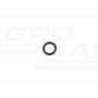 O-ring CNH 