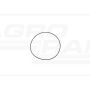 O-ring