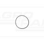 Oring 123/14465980