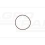 O-ring