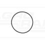 O-ring CNH