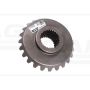Koło zębate Z-24 APOLLO
