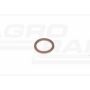 O-ring CNH