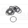O-ring CNH 