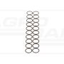 O-ring CNH 