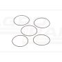 O-ring CNH 