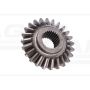 Koło zębate Z-24 APOLLO