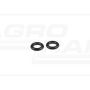 O-ring*