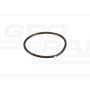 O-ring CNH