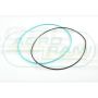 O-ring CNH
