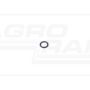 O-ring CNH
