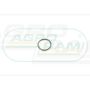 O-ring CNH