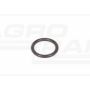 O-ring CNH